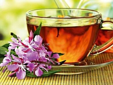O té Fireweed pode traer beneficios e danos ao corpo masculino