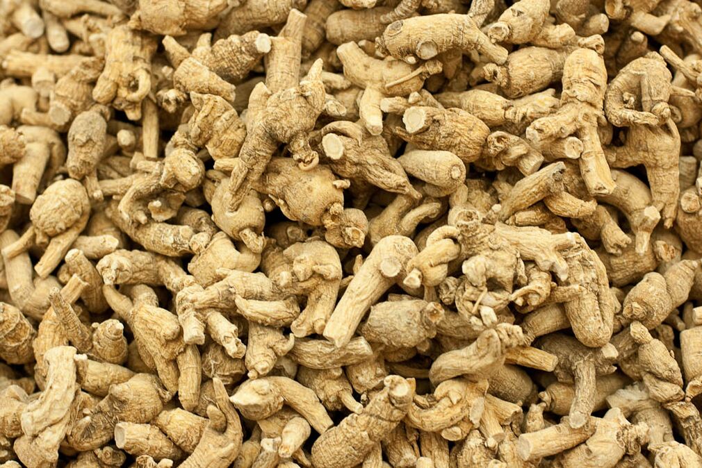 raíz de ginseng para aumentar a potencia